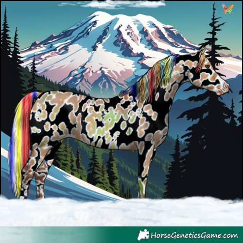 Horse Color:Painted White Spotted Silver Bay Dun Appaloosa 