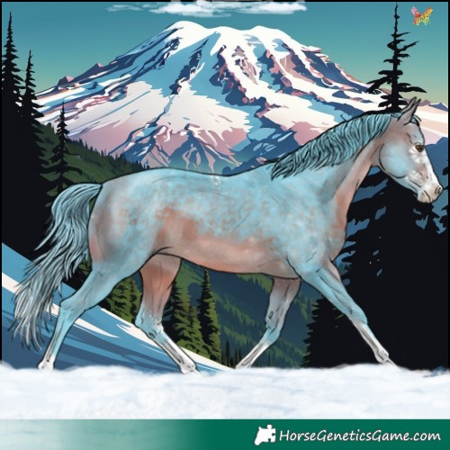 Horse Color:Watercolor Bay Sabino 