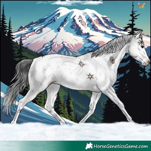 Horse Color:Brown Sabino Rabicano 