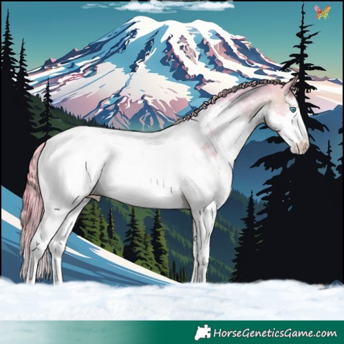 Horse Color:Watercolor Brown Sabino Splash Near Fewspot 