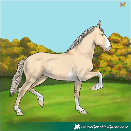 Horse Color:Gold Cream Champagne Dun Sabino Tobiano Rabicano 