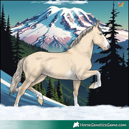 Horse Color:Gold Cream Champagne Dun Sabino Tobiano Rabicano 