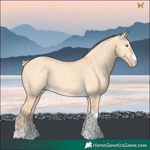 Horse Color:Gold Cream Champagne Dun Sabino Tobiano Rabicano 