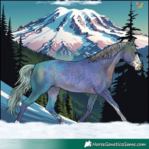 Horse Color:Watercolor Silver Brown Sabino 