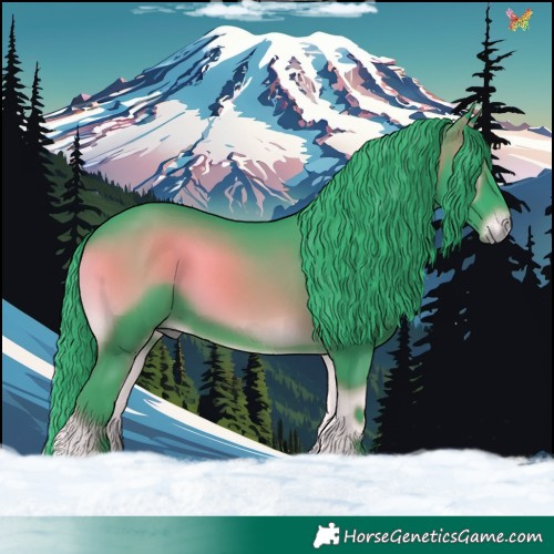 Horse Color:Watercolor Blue Onyx 