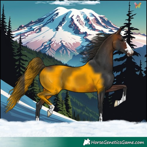 Horse Color:Brown 