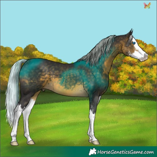 Horse Color:Silver Buckskin Sabino Splash 