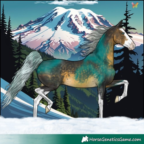 Horse Color:Silver Buckskin Sabino Splash 