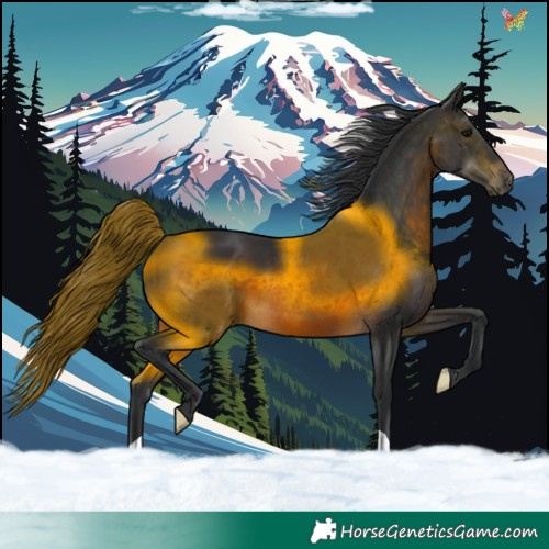 Horse Color:Brown 