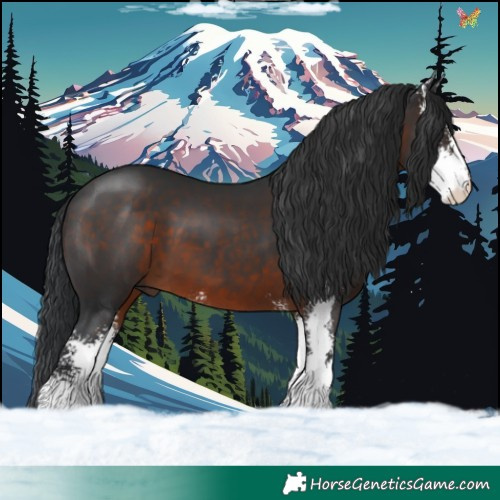 Horse Color:Brown Sabino 