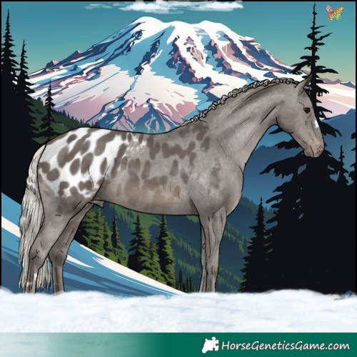 Horse Color:Silver Black Blanket 
