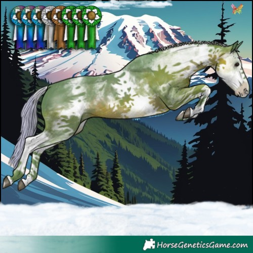 Horse Color:Watercolor White Spotted Silver Black Sabino 