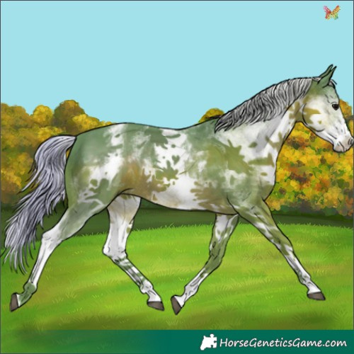 Horse Color:Watercolor White Spotted Silver Black Sabino 