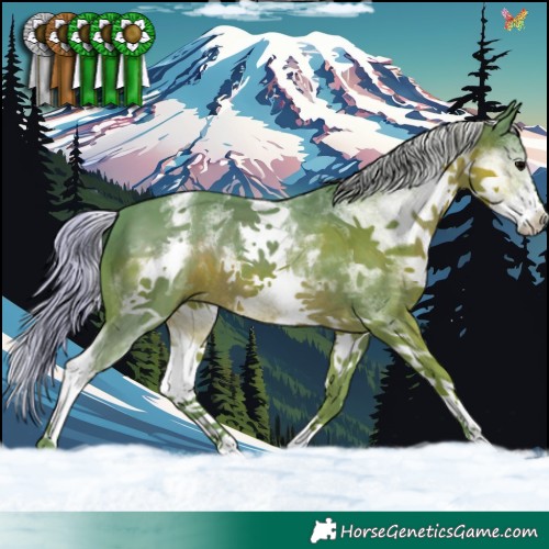 Horse Color:Watercolor White Spotted Silver Black Sabino 