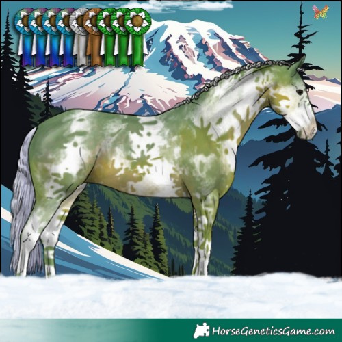 Horse Color:Watercolor White Spotted Silver Black Sabino 