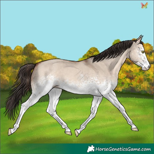 Horse Color:White Spotted Sable Champagne Dun Sabino 