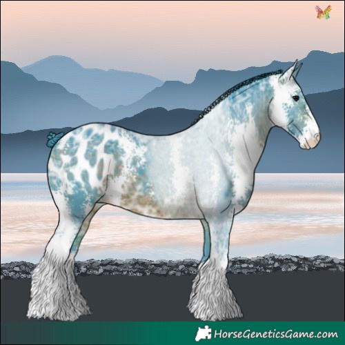 Horse Color:Watercolor Brown Ice Sabino Blanket 