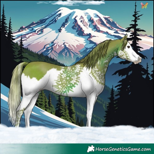 Horse Color:Watercolor Liver Chestnut Sabino Splash 