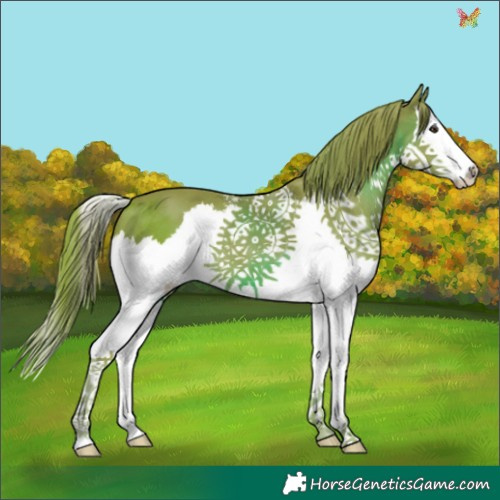 Horse Color:Watercolor Liver Chestnut Sabino Splash 