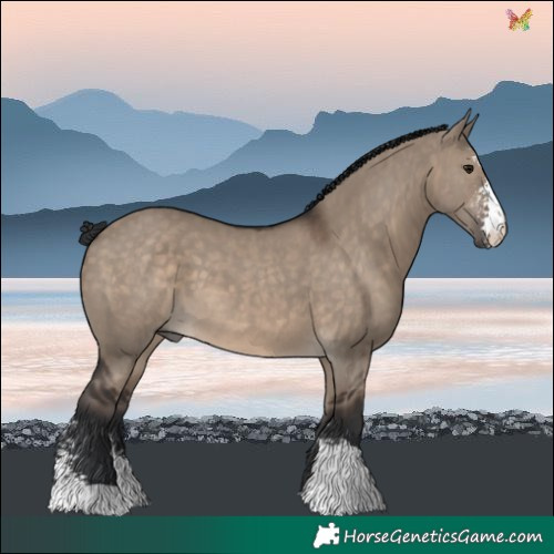 Horse Color:Brown Dun Sabino 