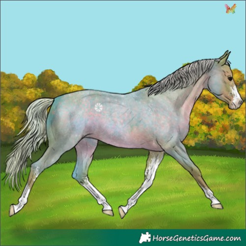Horse Color:Watercolor Silver Blue Roan Sabino 