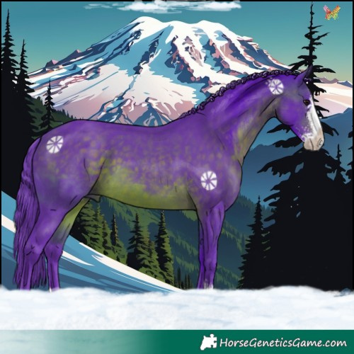 Horse Color:Watercolor Brown Sabino 