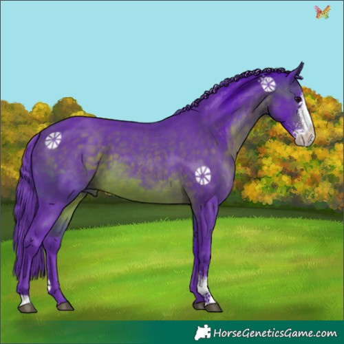 Horse Color:Watercolor Brown Sabino 