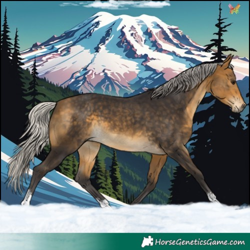 Horse Color:Silver Buckskin Sabino 