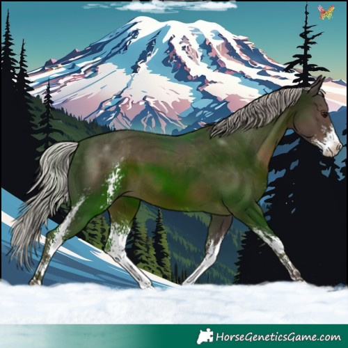 Horse Color:Silver Black Sabino 