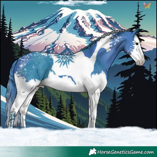 Horse Color:Watercolor Black Sabino Splash Tobiano 
