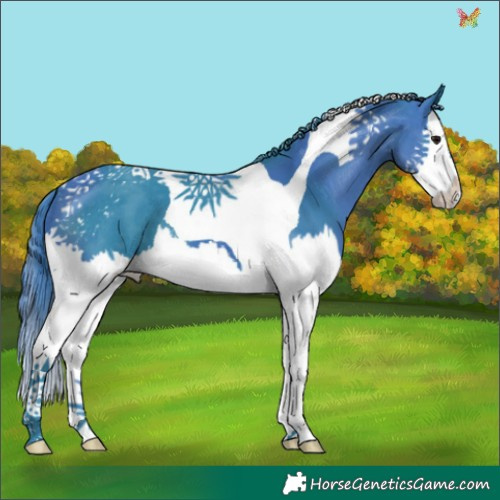 Horse Color:Watercolor Black Sabino Splash Tobiano 