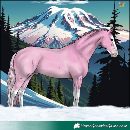 Horse Color:Watercolor Black Sabino Splash 