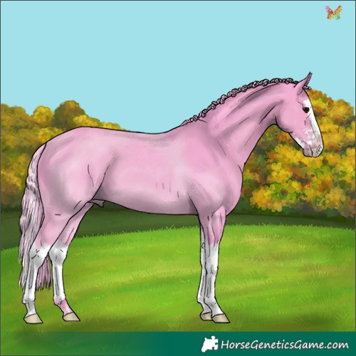 Horse Color:Watercolor Black Sabino Splash 
