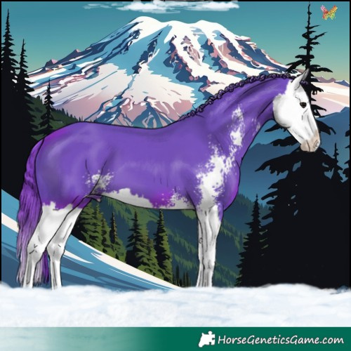 Horse Color:Watercolor Black Sabino Splash 