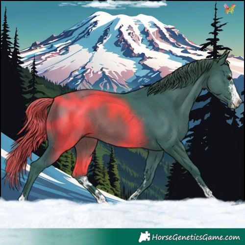 Horse Color:Watercolor Black Sabino 