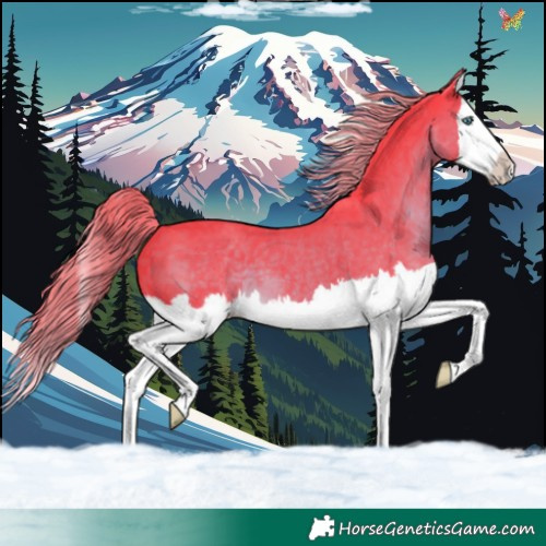 Horse Color:Watercolor Liver Chestnut Sabino Splash 