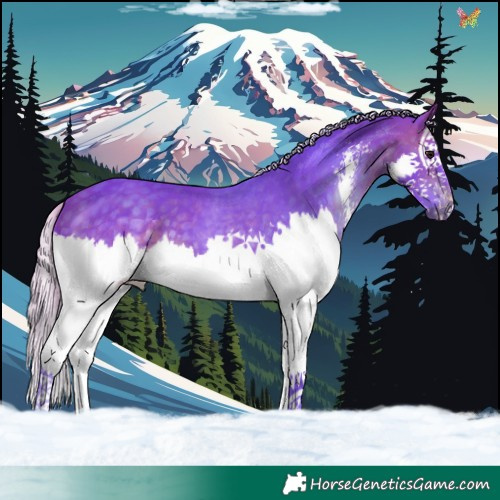 Horse Color:Watercolor Silver Brown Sabino Splash 