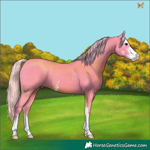 Horse Color:Watercolor Silver Black Sabino 