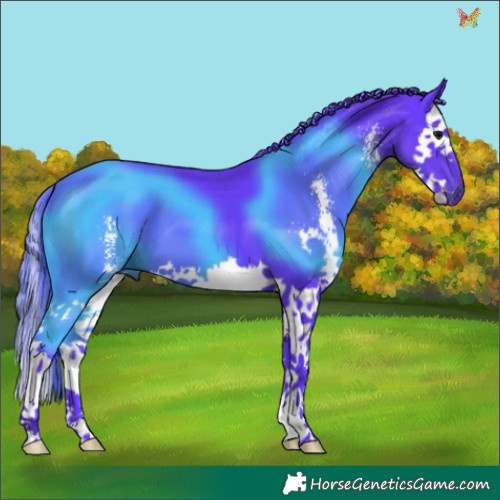 Horse Color:Watercolor Black Sabino Splash 