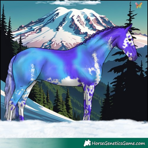 Horse Color:Watercolor Black Sabino Splash 
