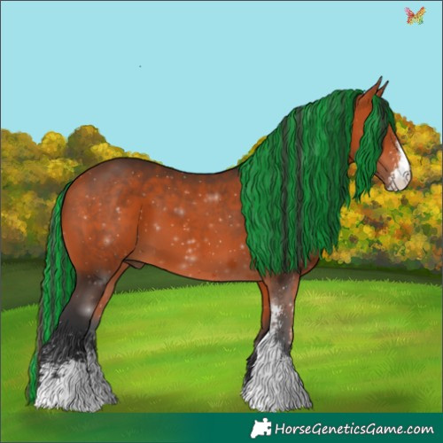 Horse Color:Painted Bay Sabino 