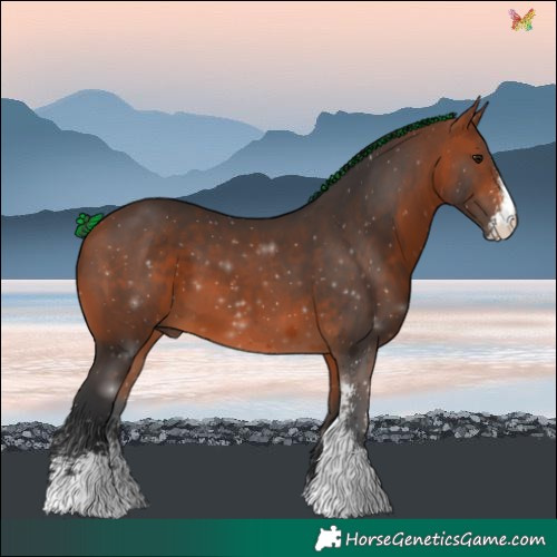 Horse Color:Painted Bay Sabino 