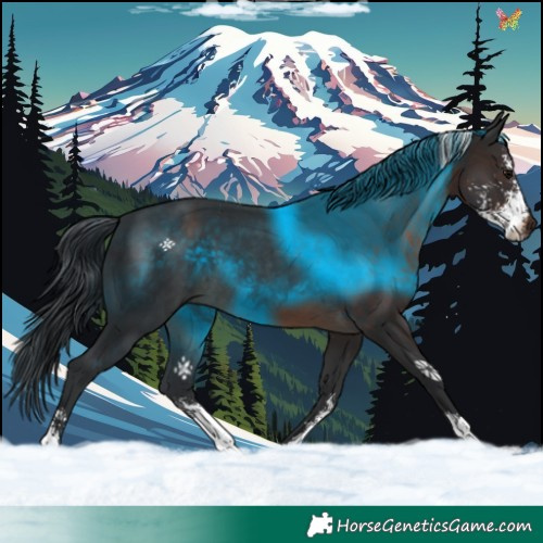 Horse Color:Brown Sabino 