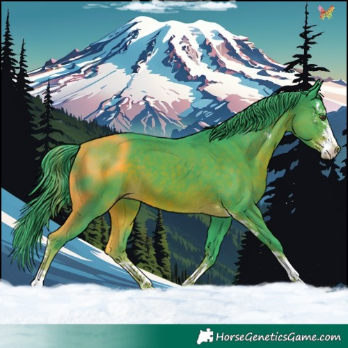 Horse Color:Watercolor Liver Chestnut Sabino 