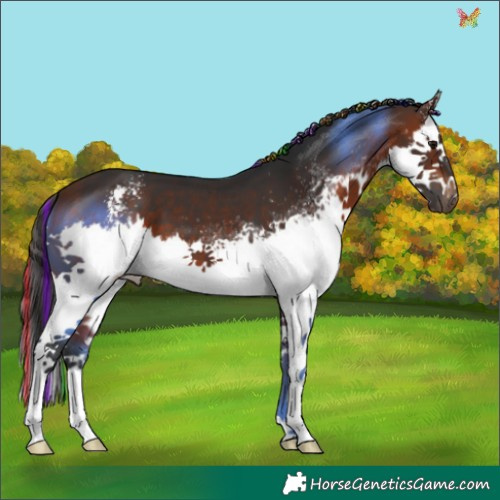 Horse Color:Painted White Spotted Bay Sabino Splash 
