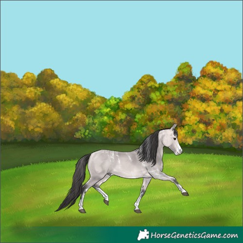 Horse Color:Powder White Platinum White Spotted Buckskin 