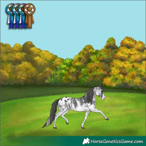 Horse Color:Platinum White Spotted Black Blanket Rabicano 