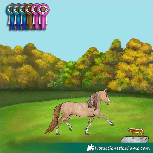 Horse Color:Powder White Red Dun 