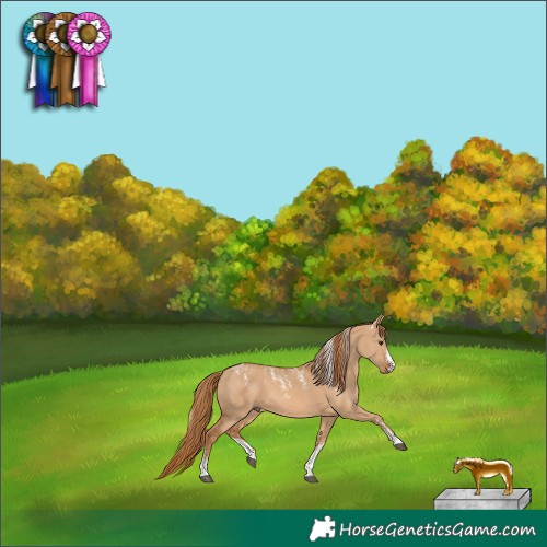 Horse Color:Powder White Red Dun 
