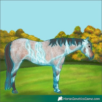Horse Color:Gray Thunderstruck Chocolate Bay Roan Rabicano 